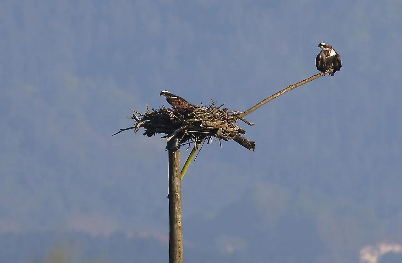 Hotel Urdaibai Bird Center à Gautegiz Arteaga