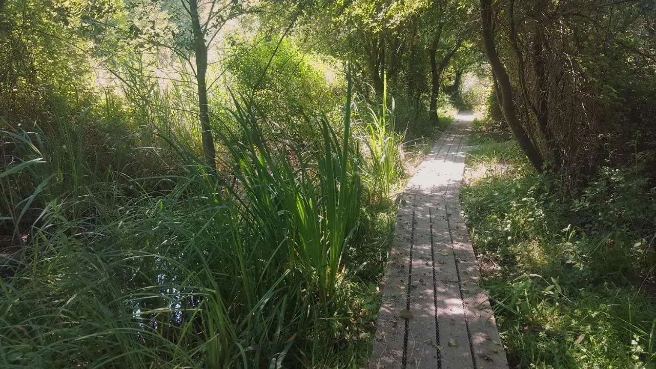 Hotel Urdaibai Bird Center à Gautegiz Arteaga